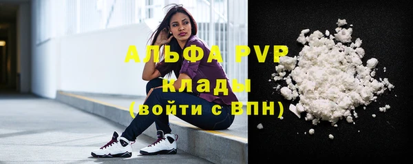 шишки Ельня
