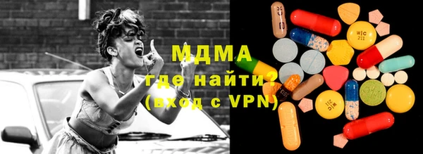 шишки Ельня