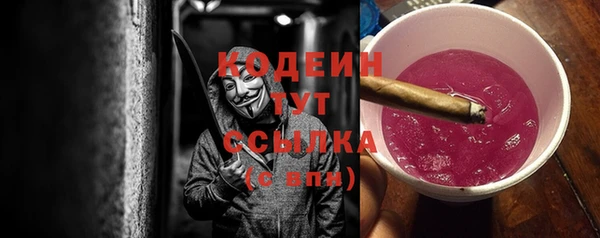 шишки Ельня