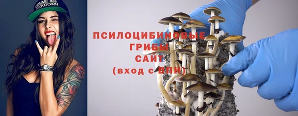 тгк Дмитров