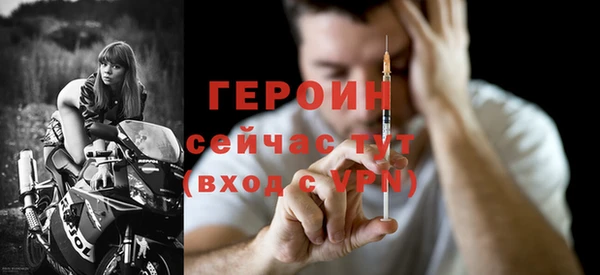 шишки Ельня