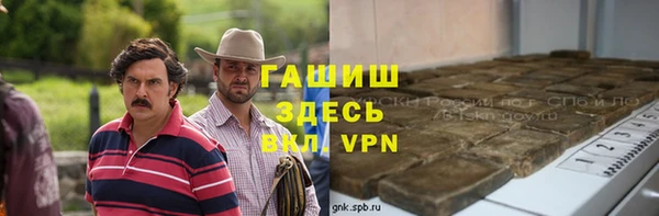 шишки Ельня