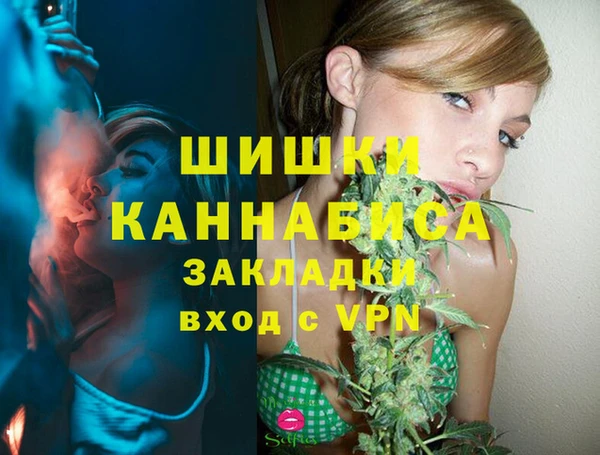 шишки Ельня