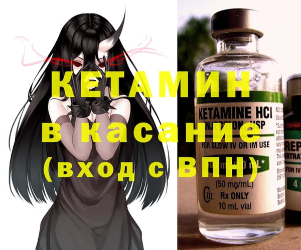 шишки Ельня
