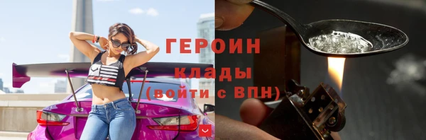 шишки Ельня