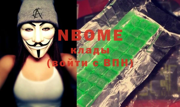 шишки Ельня