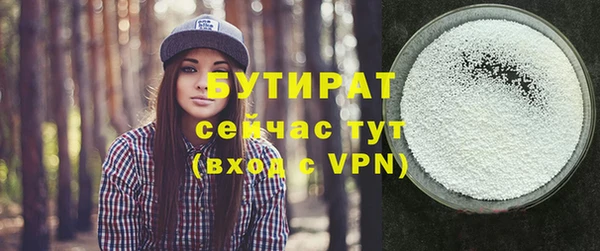 шишки Ельня