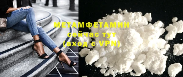 шишки Ельня