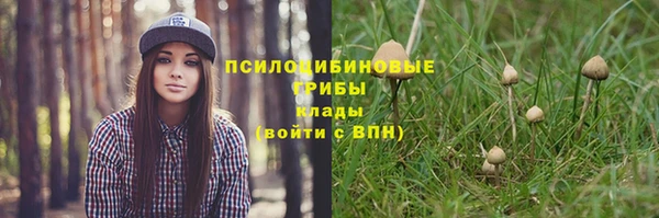 тгк Дмитров