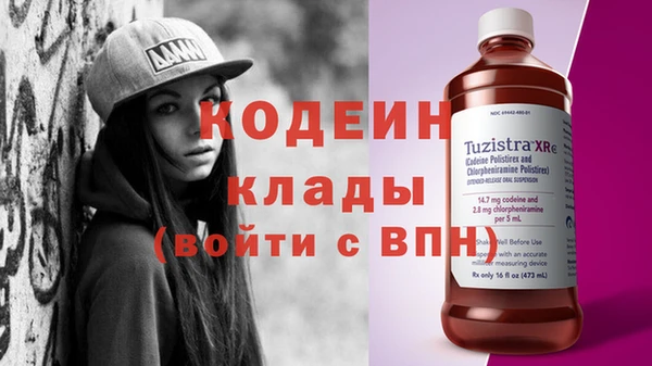 шишки Ельня