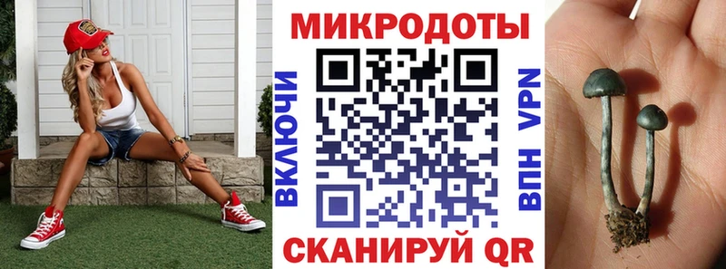 Галлюциногенные грибы ЛСД  Купить где  Елизово 